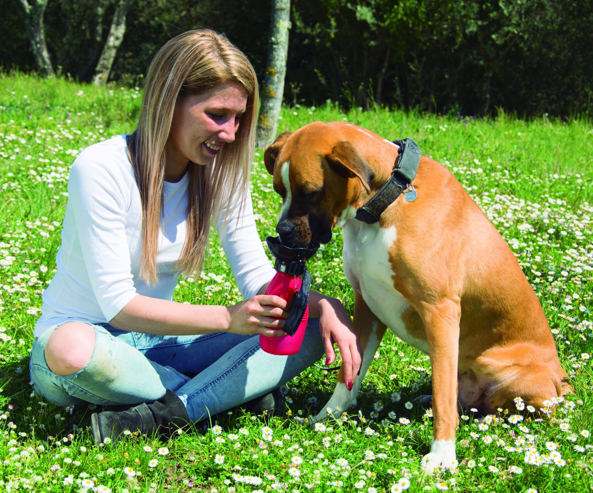 Doggy Bottle - die tragbare Wasserflasche für Ihren Hund
