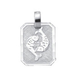 Zodiac silver 925/- Pisces, square