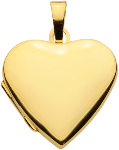 medaillon goud 333/gg hart