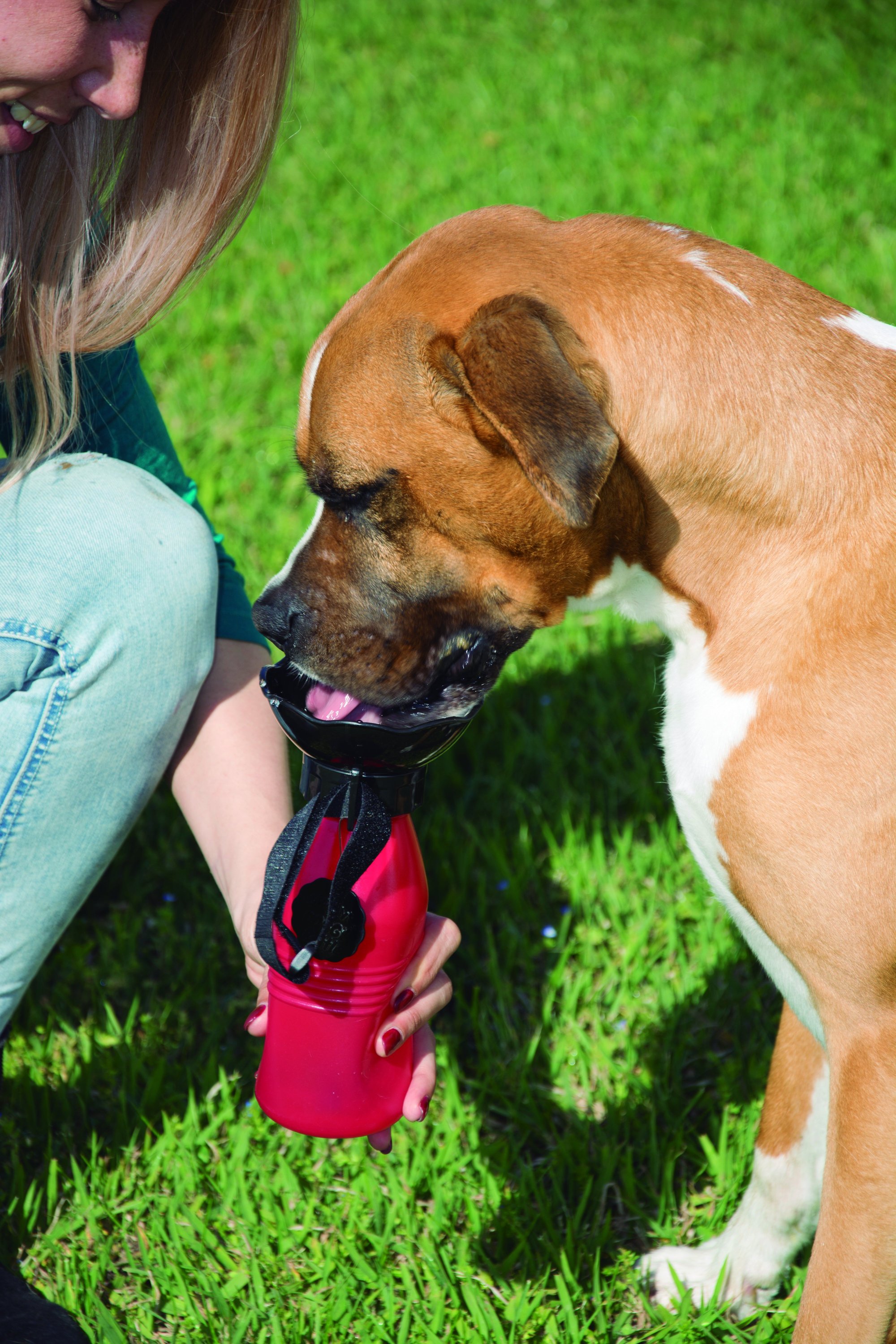 Doggy Bottle - die tragbare Wasserflasche für Ihren Hund