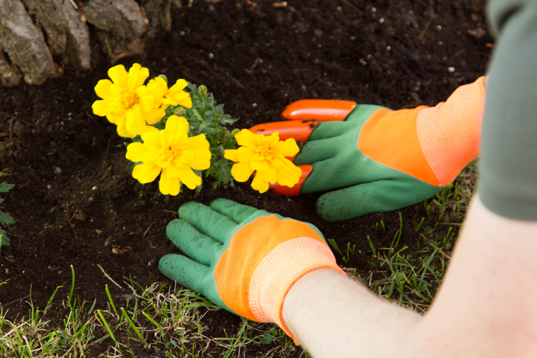 Gartenhandschuhe mit Krallen