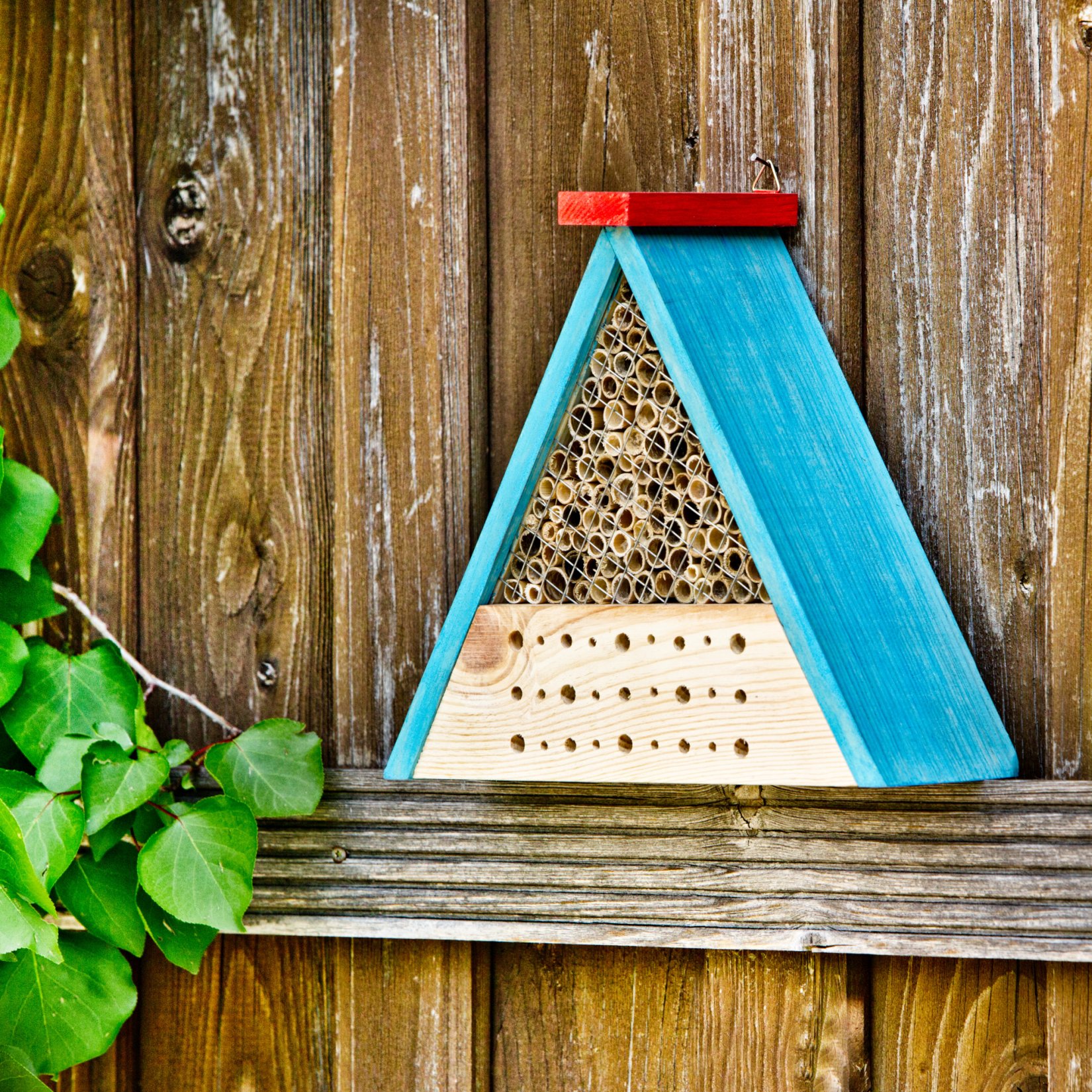 Insectenhotel bouwset inclusief penseel en verf