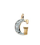 Buchstabenanhänger Gold 585/rh   G, Diamant 0,02ct. WPI