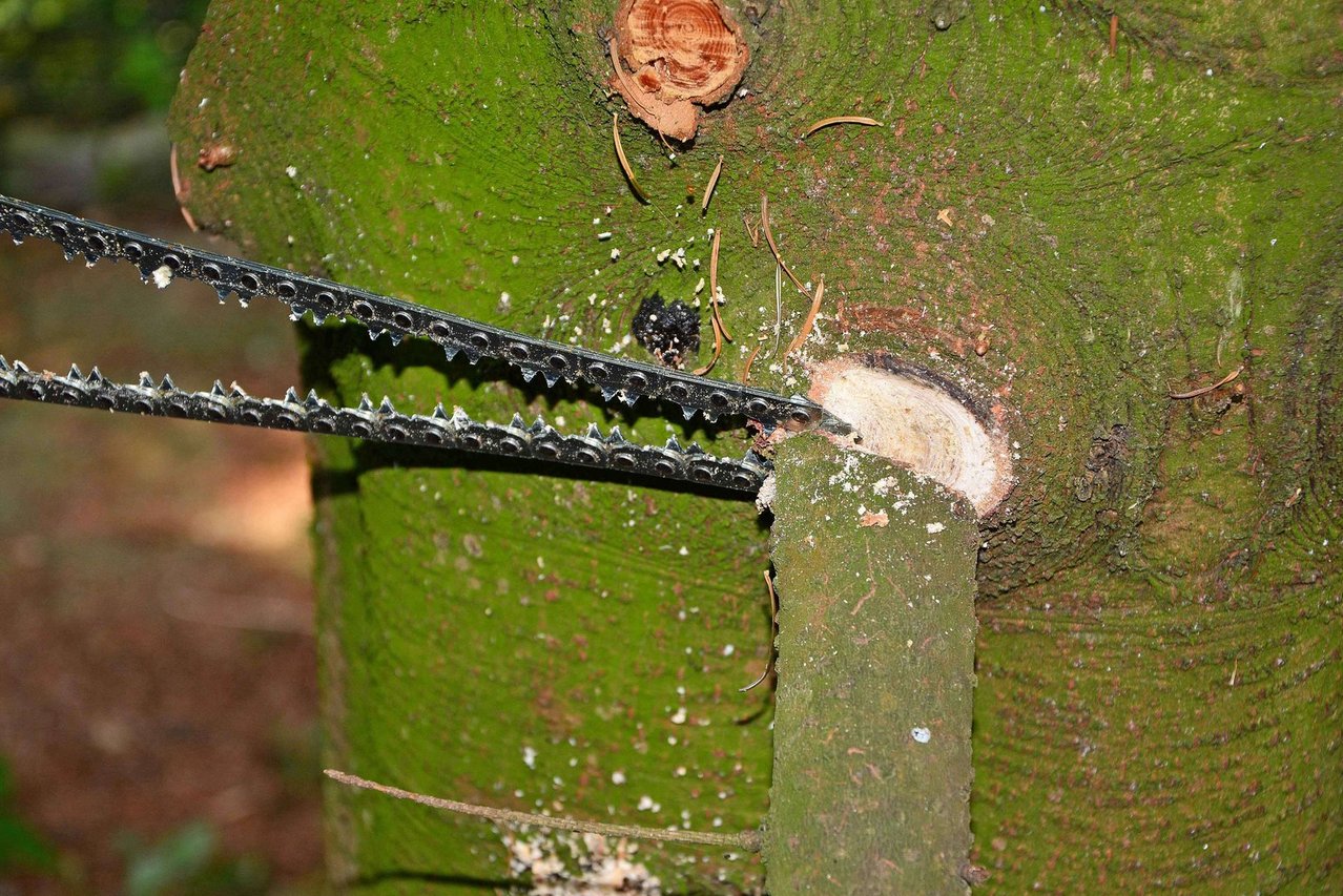 Kettingzaag met verchroomde ketting, extra plus-versie