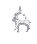 Zodiac silver 925/- Capricorn