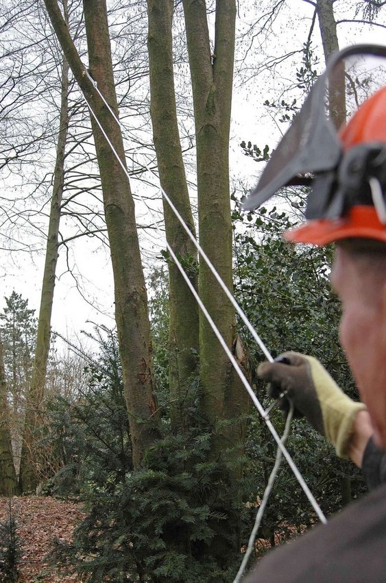 Kettingzaag met verchroomde ketting, extra plus-versie