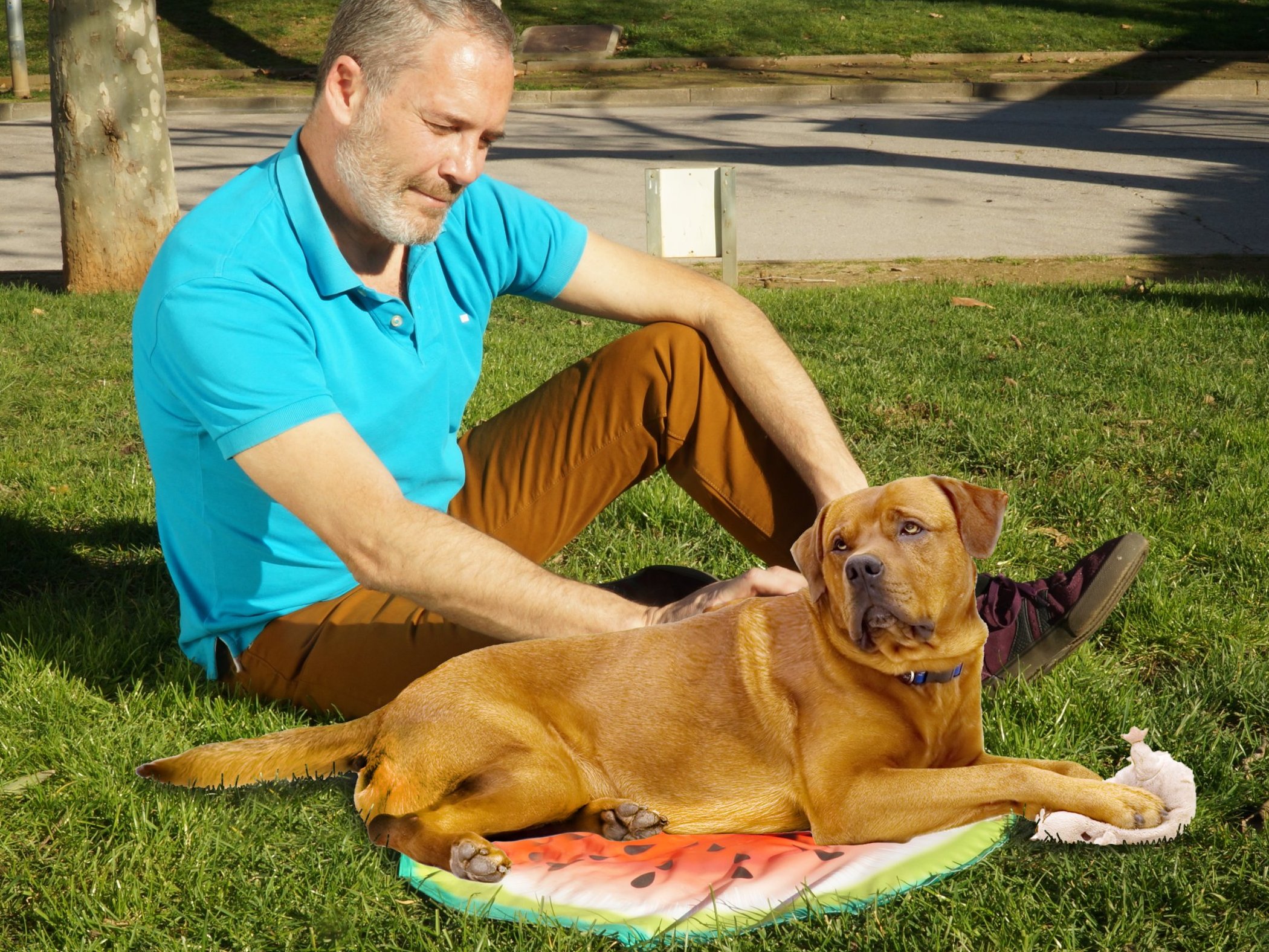 Pet Cooling Mat - De zelf koelende mat voor huisdieren