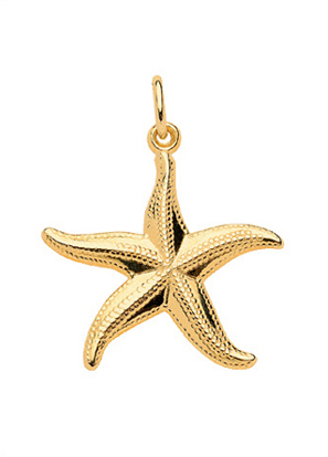 Pendant gold 333/GG starfish
