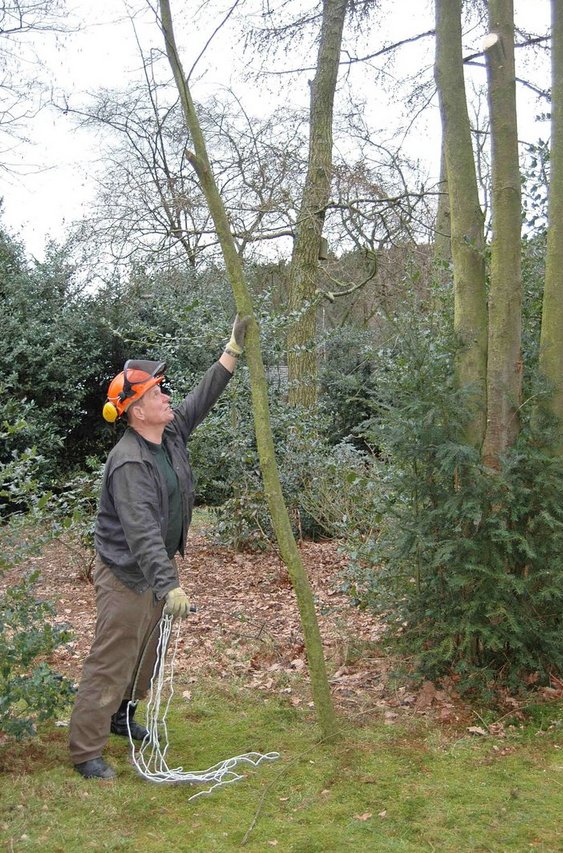 Kettingzaag met verchroomde ketting, extra plus-versie