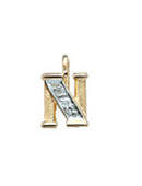 letter hanger goud 585/rh   N, diamant 0,02ct. wpi