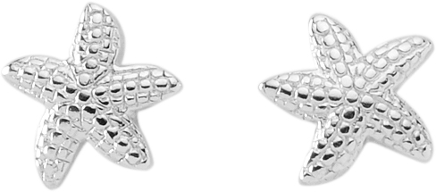 oorsieraad zilver 925/rh zeester assort. 3st.