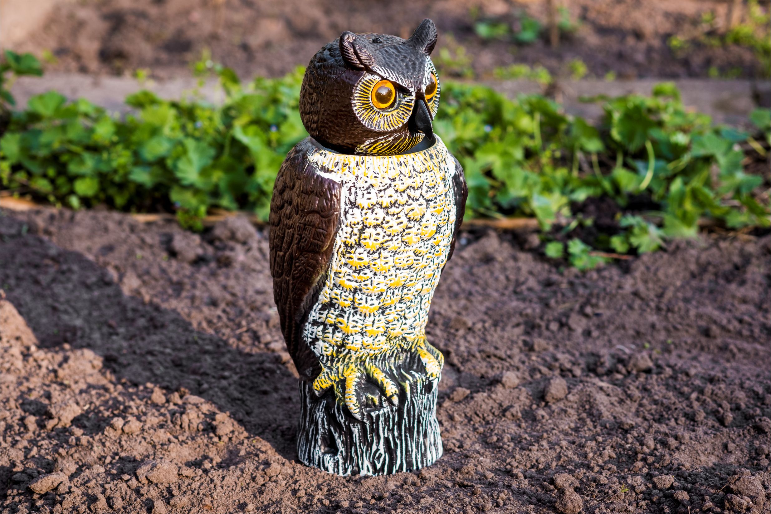 Garden owl scarecrow