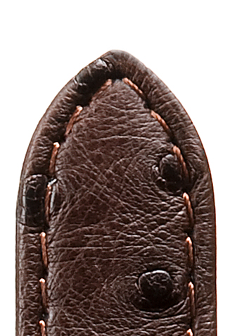 Leather band ostrich, 12mm, dark brown