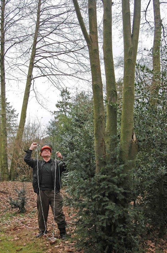 Kettingzaag met verchroomde ketting, extra plus-versie