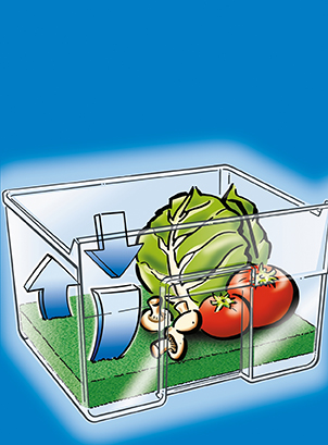 Fresh-keeping mat for fruits and vegetables - keeps food longer fresh!