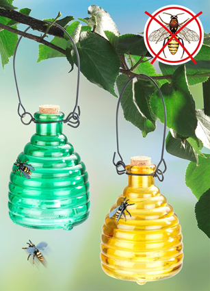 Wasp trap, set of 2