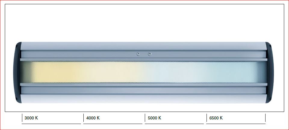 LED lamp Taneo STZL 36R Waldmann - switchable