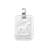 Zodiac silver 925/- Capricorn, square