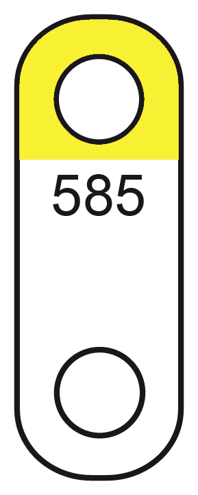 Chain labels cardboard with 2 holes 28 x 10 mm yellow