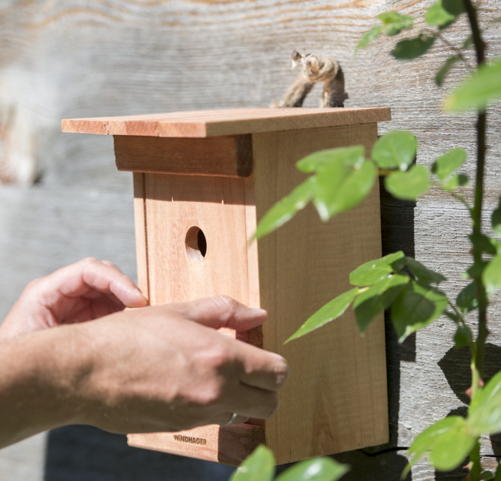 Nest box - nesting aid