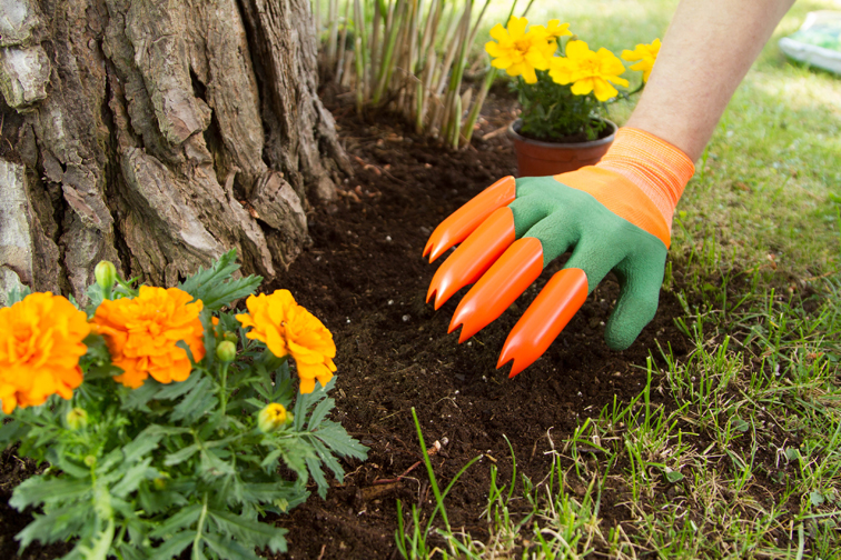 Tuinhandschoenen met klauwen