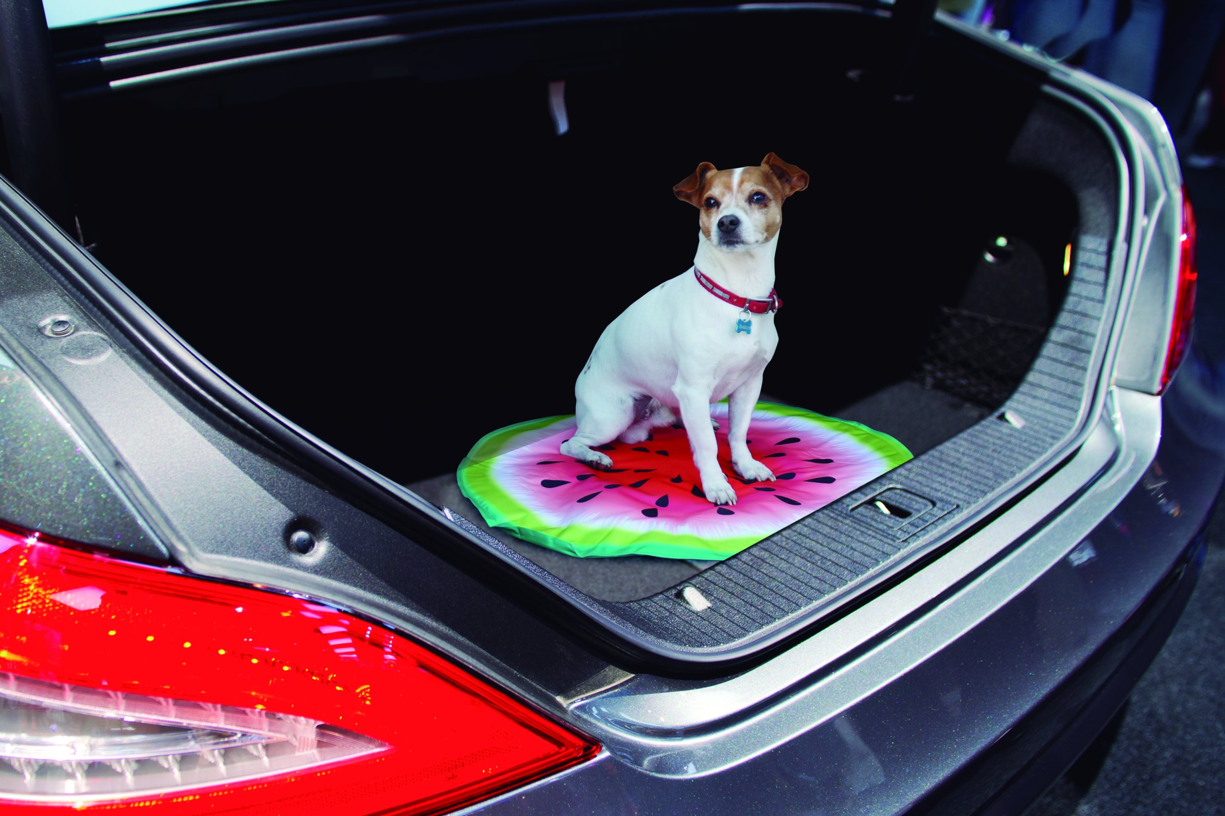 Pet Cooling Mat - The self-cooling mat for pets