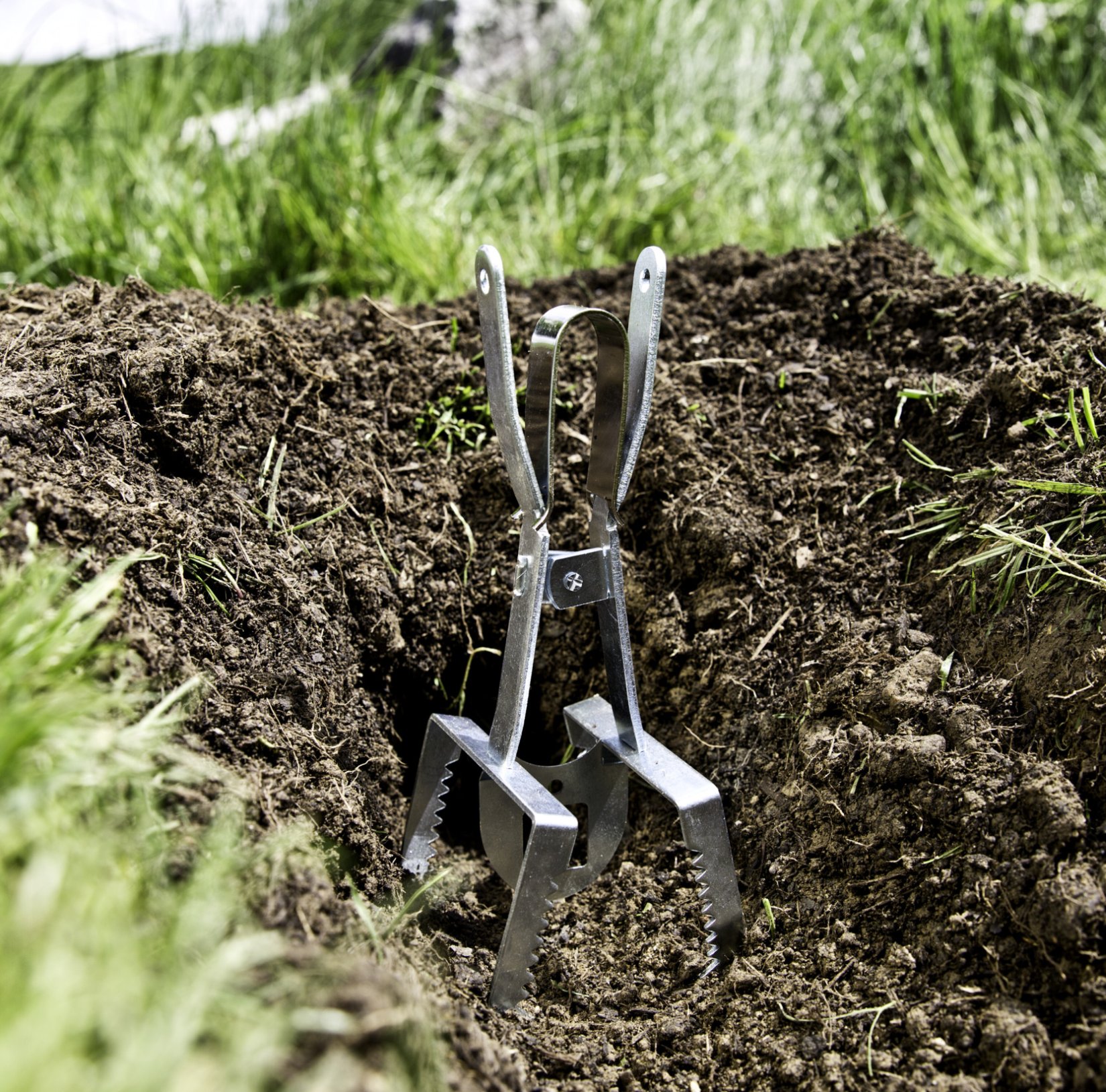 Pincer vole trap