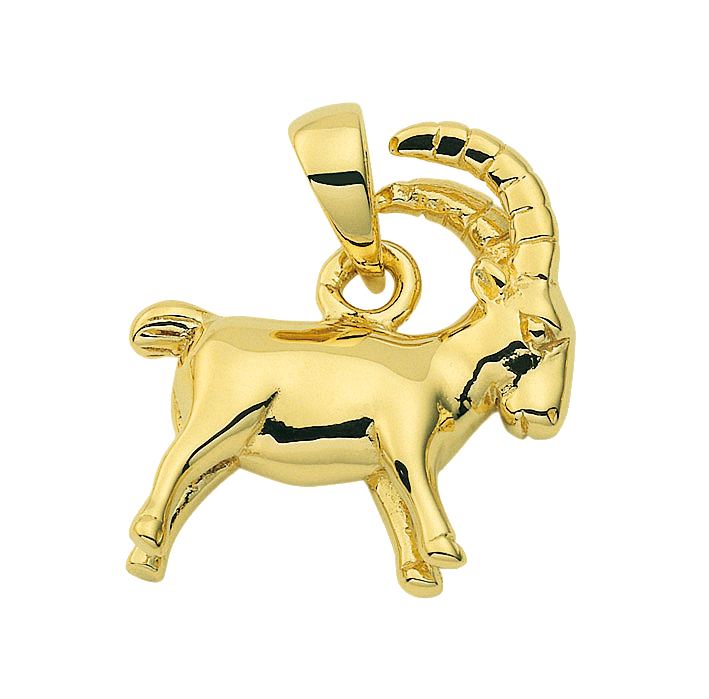 Zodiac gold 585/GG Capricorn
