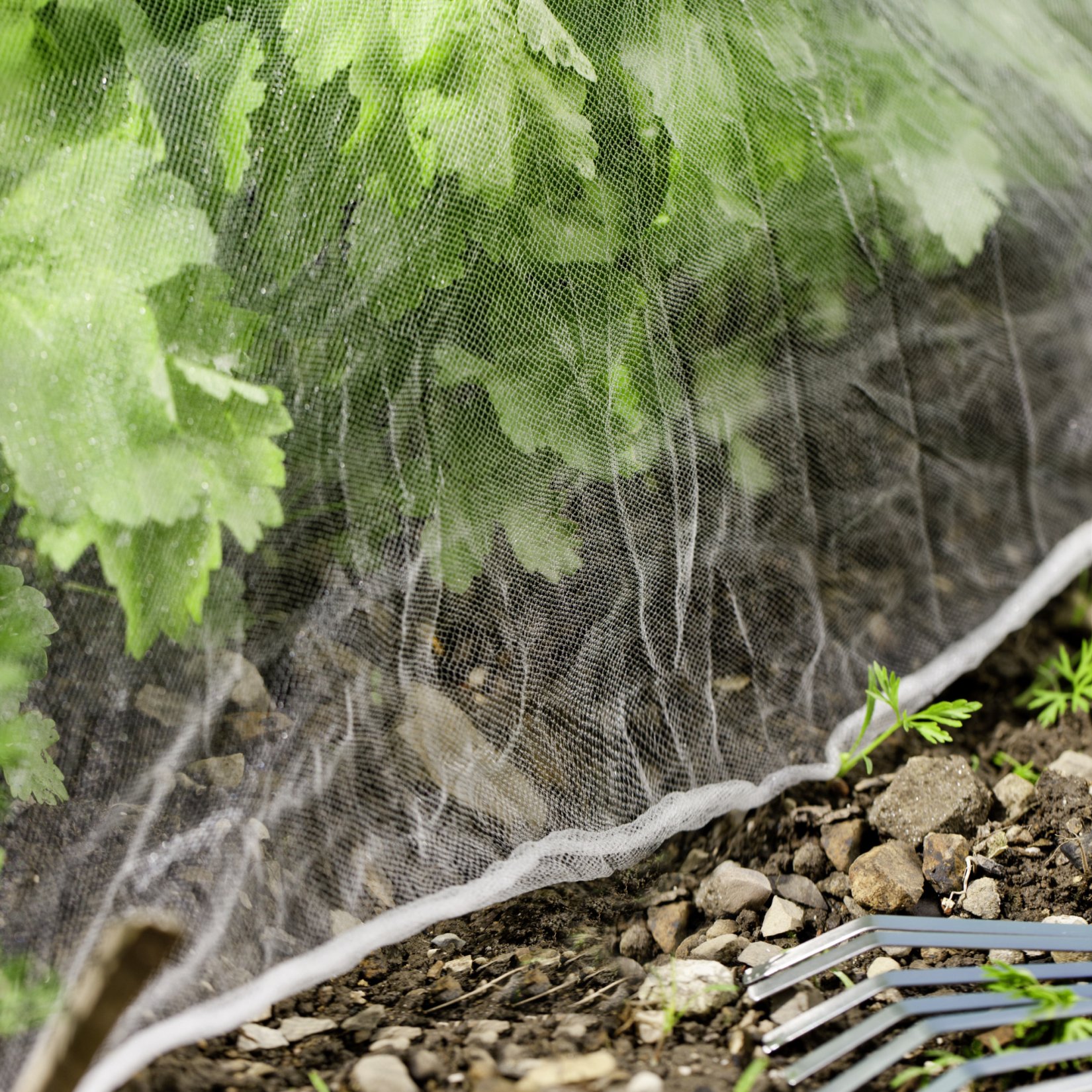 Insect protection net