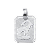 Zodiac silver 925/- Capricorn, square