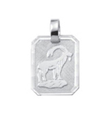 _ Sternzeichen Silber 925/- Steinbock, eckig