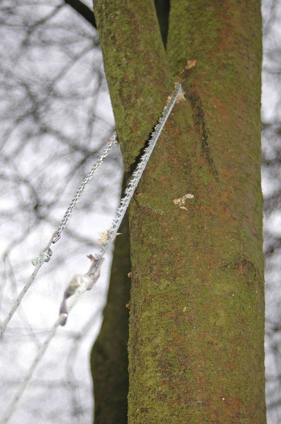 Kettingzaag met verchroomde ketting, extra plus-versie