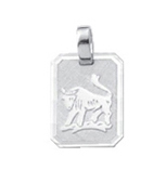 Zodiac silver 925/- Taurus, square