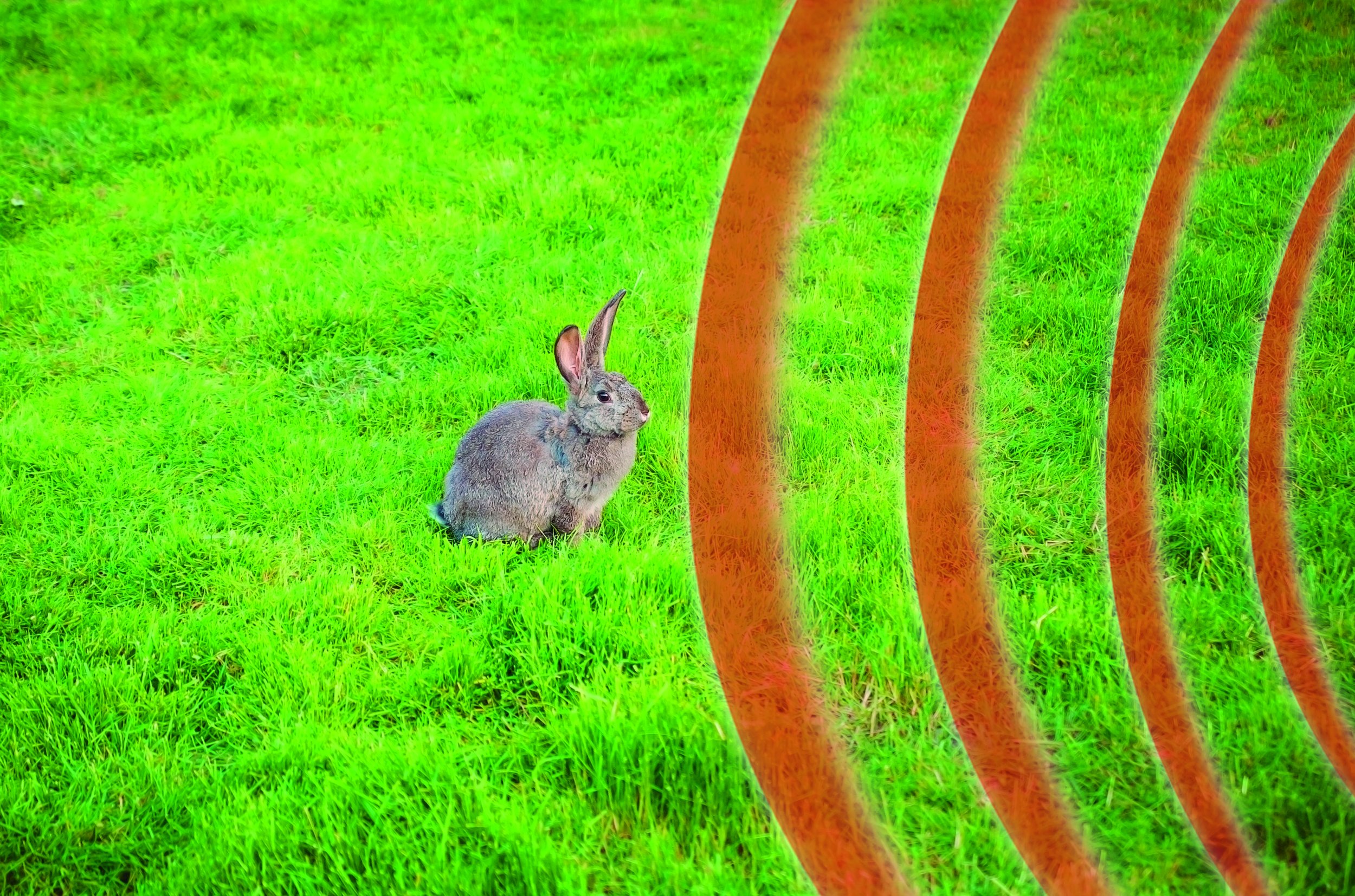 _ Garteneule Owl Guard - Bewegungsgesteuerter Tiervertreiber