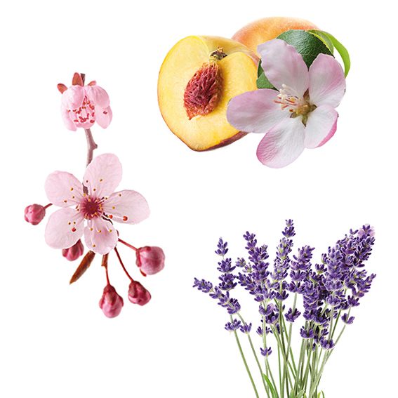 Zeep parfumolie set van 3: Kersenbloesem, Perzik, Lavendel