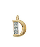 letter hanger goud 585/rh   D, diamant 0,02ct. wpi