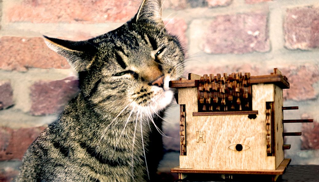 Wie lukt het om de MEGA-box te openen? De Escape Room Challenge Schrödinger's Cat