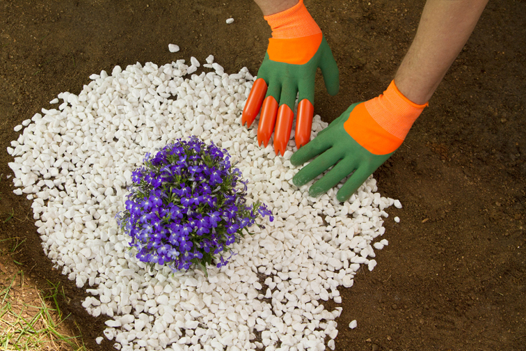 Garden gloves with claws