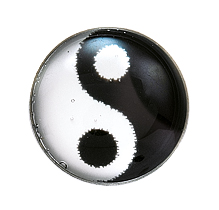 First ear stud System 75 white, novelty design studs, Yin Yang, Studex
