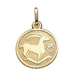 _ Sternzeichen Gold 333/GG Steinbock, rund