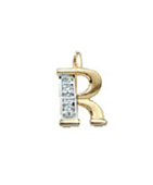 letter hanger goud 585/rh   R, diamant 0,02ct. wpi