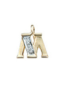 letter hanger goud 585/rh   M, diamant 0,02ct. wpi