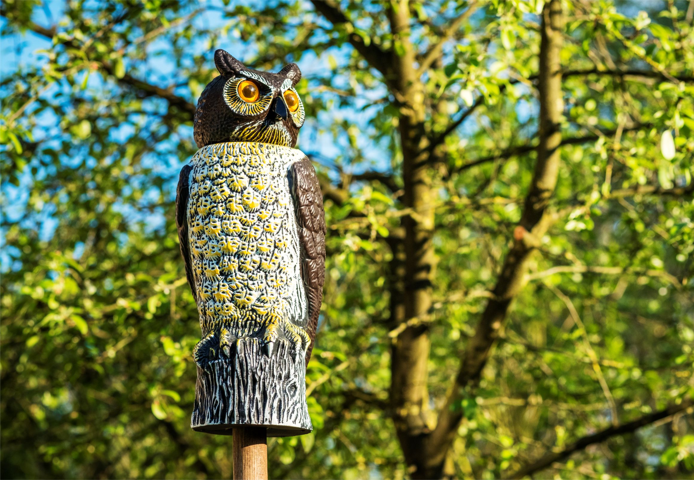 Garden owl scarecrow