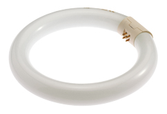 Fluorescent ring light for magnifying lamp Waldmann