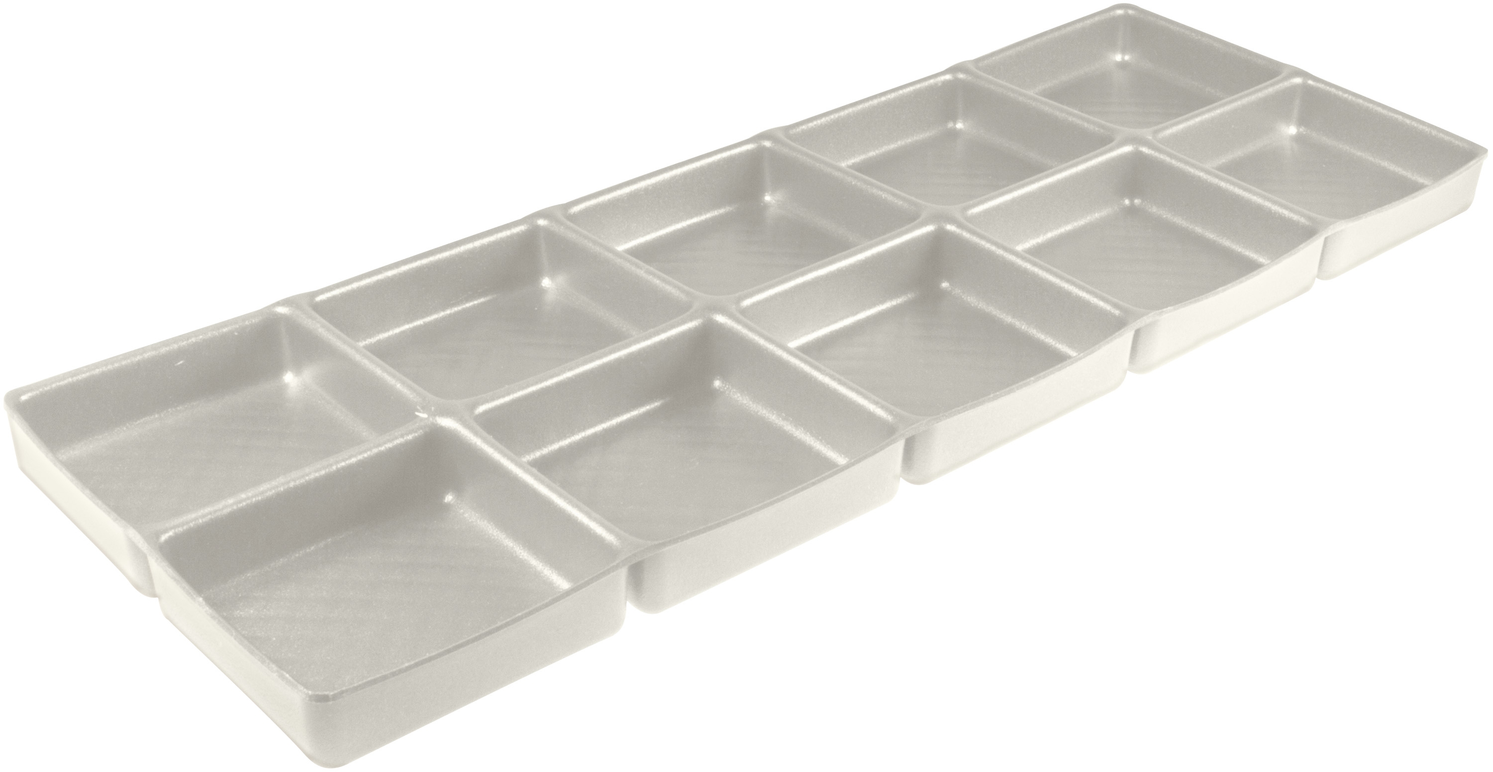 Foam insert with 10 compartments