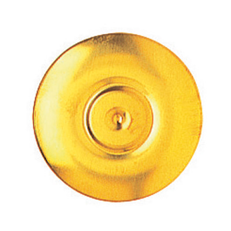 Pendulum lenses for black forest blocks wood brass mantled Ø: 55 21g